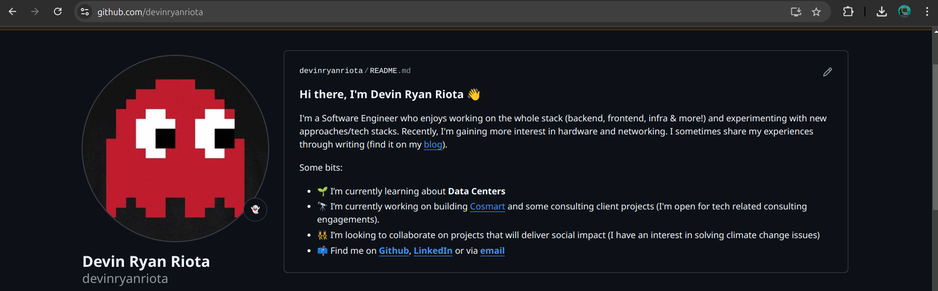 devinryanriota github profile